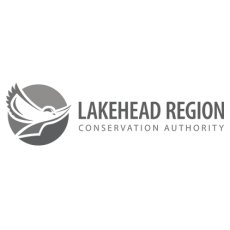 lakeheadCA-grey